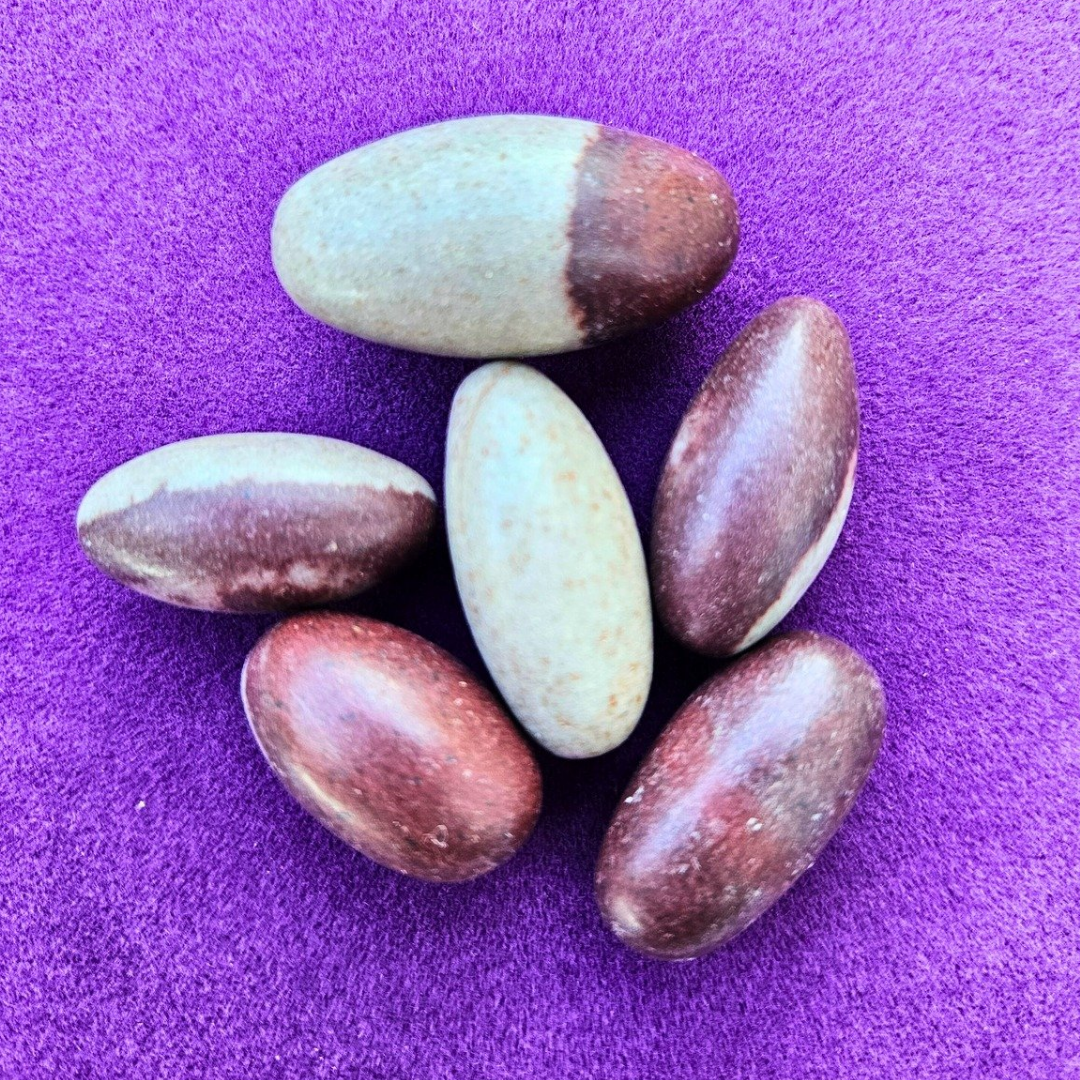Piedra Sagrada Shiva Lingam – Armonía, Equilibrio y Energía Ancestral