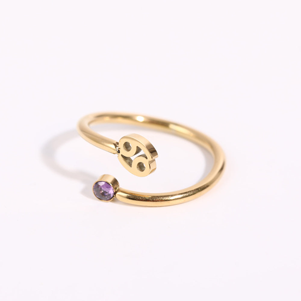 Anéis dos Signos Banhados a Ouro 18k - Produto Best Seller🥇