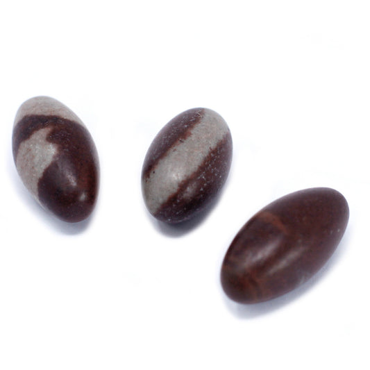 Pedra Sagrada Shiva Lingam – Harmonia, Equilíbrio e Energia Ancestral
