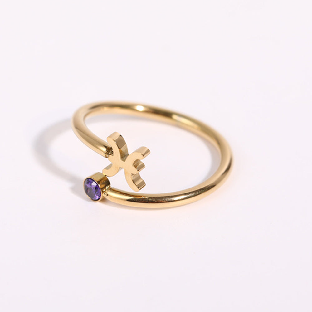 Anéis dos Signos Banhados a Ouro 18k - Produto Best Seller🥇