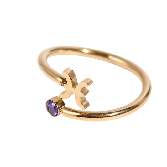 Anéis dos Signos Banhados a Ouro 18k - Produto Best Seller🥇